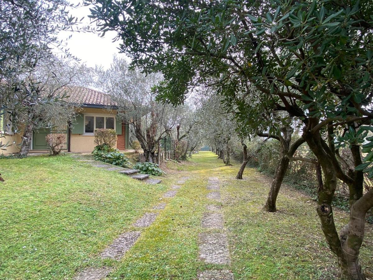 Villa Sweet Flower - With Private Pool And Garden Manerba del Garda Εξωτερικό φωτογραφία